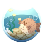 Coin To Fish